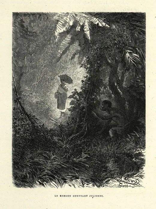 Illustration représentant une promeneuse dans un bois guettée en vue d'une attaque par D'chimbo Le Rongou