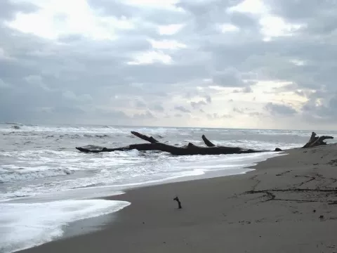 Photographie de la plage d'Aléria
