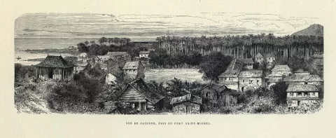 Gravure d'une vue de Cayenne, prise du Fort Saint Michel