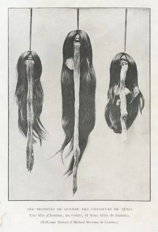 Dessin représentant des trophées de guerre de chasseurs de tête