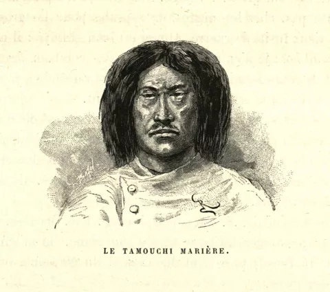 Portrait dessiné d'un tamouchi marière