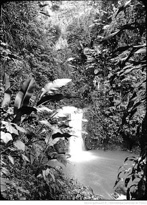 Cascade au jardin botanique de Saint-Pierre
