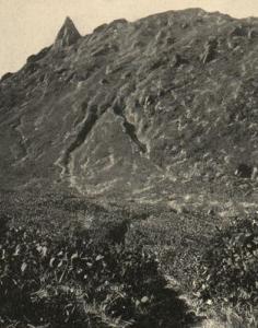 Photographie en noir et blanc de la savane Lignières