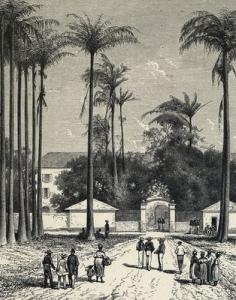 « Place des Palmistes, à Cayenne »